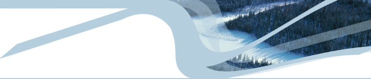 Header Graphic